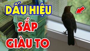 4 con vật vào nhà Thần Tài Ghé Thăm bạn: Càng ở lâu tiền càng nhiều 2 4 con vat vao nha than tai ghe tham ban cang o lau tien cang nhieu 135122