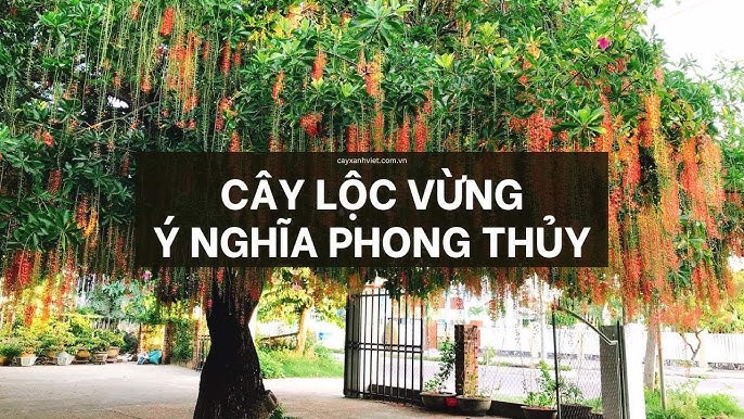 4 loai cay trong truoc nha mang toi tien tai phuc loc cang ngay cang giau co 081026