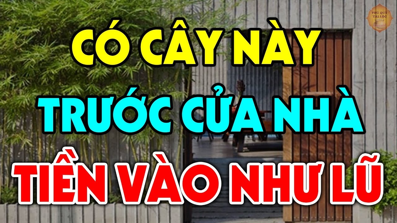 4 loai cay trong truoc nha nao nha do giau co 095820