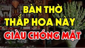 4 Loai Hoa Cam Tren Ban Tho Ngay Tet Tien Vao Nhu Nuoc 085436