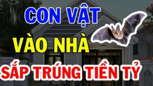 4 Loai Vat Nhin Dang So Nhung La De Tuthan Tai Vao Nha Dung Voi Duoi Chung Di 094340