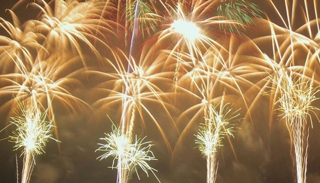 4 tai dong nai 1480.webp