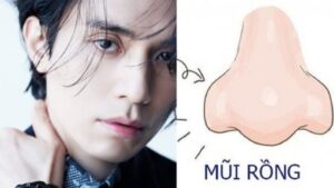 4 tướng mũi của người đa tài già có 1 4 tuong mui cua nguoi da tai gia co 091100