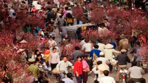 4770fd44803afd7a55948a258775761d 1 1548152856 613 width800height530