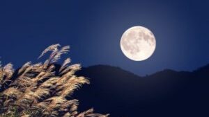 49d507a75c96d65497d63a4e961d0d7a anh trang yeu thuong 16100419092021