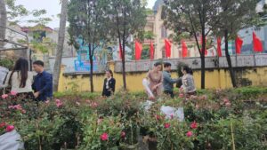 Vân Đình: Phát Động Mô Hình &Amp;Quot;Vân Đình Nở Hoa&Amp;Quot; Thiết Thực Chào Mừng Thành Công Đại Hội Đảng Lần Thứ Xiv 4Ba6985C Cb4C 4Efc Bfba F7B3Fc311E0F20260122142211