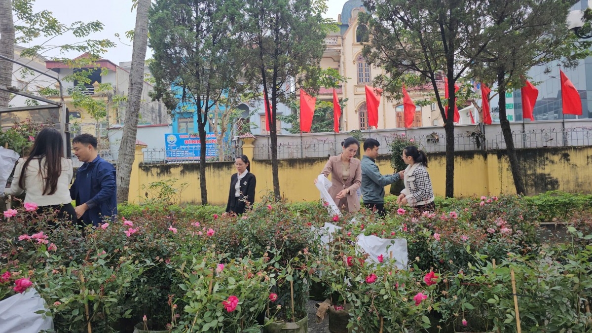 4Ba6985C Cb4C 4Efc Bfba F7B3Fc311E0F20260122142211