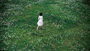 4c37a8942717ff7c8592a99a0fc12aa9 07b695563cb33b2e9a81eb61753b5868