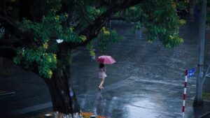 4c38e8fbd92111920d0d1100c8c52c7e 165 18558755 1317905988256895 1435487368552239472 o 1495472852923.j