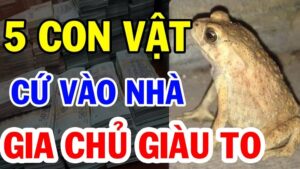 5 con vat vao nha than tai ghe tham cang o lau cang giau co 083545