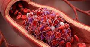 5 cuc mau dong 1772715094792725202198 83 46 650 953 crop 1772715469711485317658