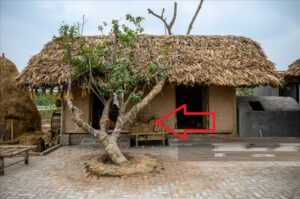 5 Dau Hieu Ngoi Nha Can Khi Con Chau Khon Don Tram Be 135930