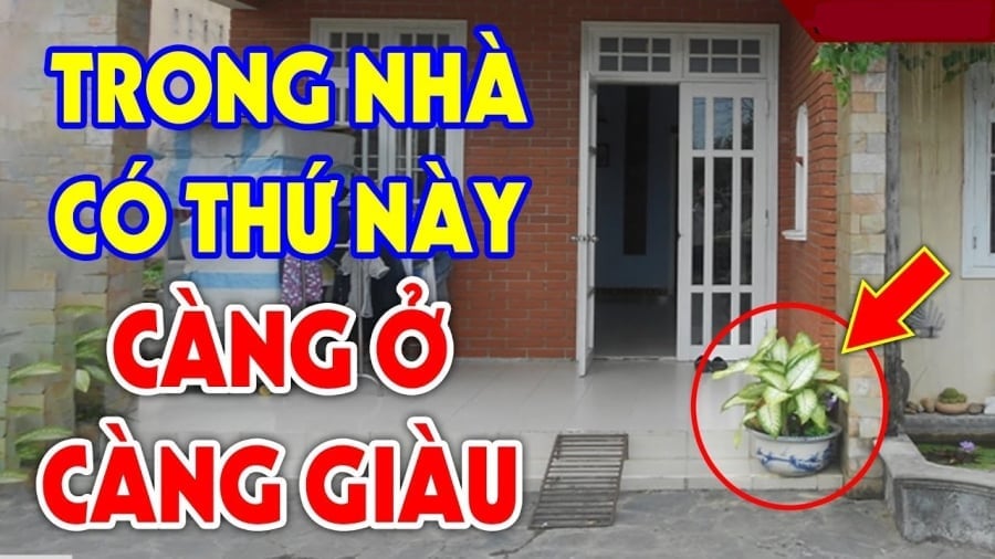 5 dau hieu ngoi nha co phong thuy tot cang o cang giau co 205457