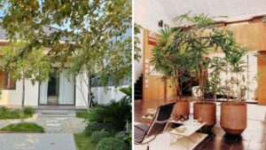 5 Dau Hieu Nhan Biet Ngoi Nha Nam Tren Dat Vang Phong Thuy Ban Di La Mat Loc Troi Cho Mat Phuc Phan