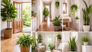 5 vi tri dat cay trong nha tuong dep nhung lai chan loc nhieu nguoi mac ma khong biet 105100