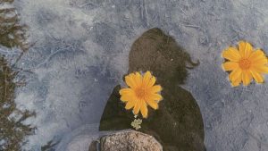 5119b80e8b84466796fad8ca50fde651 vi