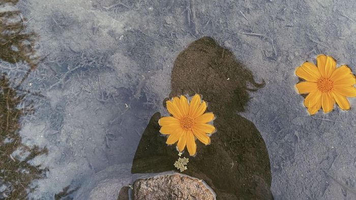 5119b80e8b84466796fad8ca50fde651 vi