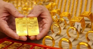 642245728 1688460992576081 3366636355513129688 n 17721485685851640497254 21 0 959 1500 crop 17721485