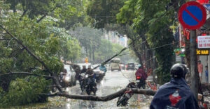 648793238 933016295991785 2049393140842931831 n 752