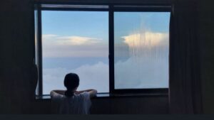 65Bd970Bc9E2Bd61392Ca2373B6C2B0D 14