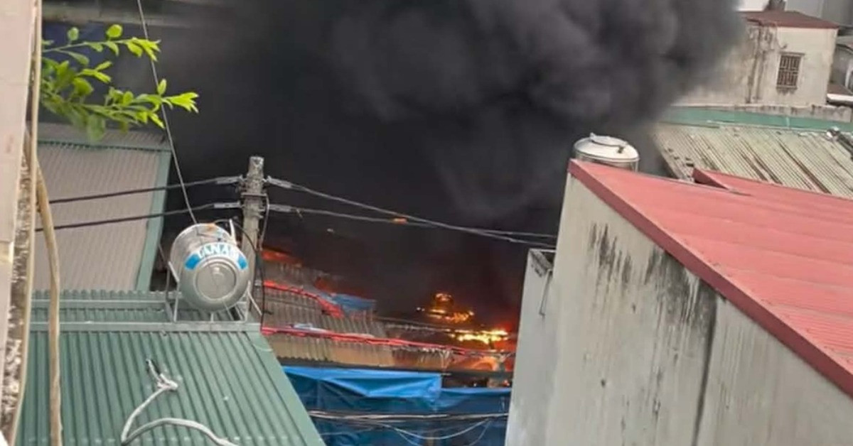 662366446 2040085370240346 6975908386531037660 n 880