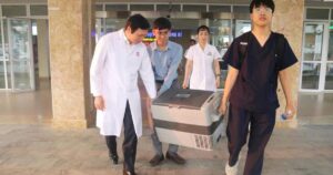 6676039259383127088179587964298695852160081n 1775548471839812024358 0 0 639 1023 crop 17755484821359