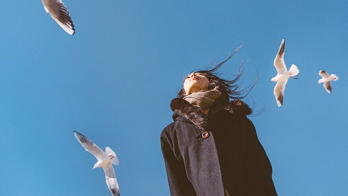 66fd828538636ea94ee008533e7b8f82 thum