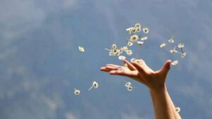 6866469de720ae138f7379df0f2241b2 b6ffc8b9a75ad099ed5af5af342fdde6