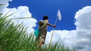 6Fade3552F1D7B109C9Cd129Df694E32 3