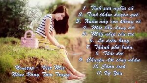 Liên Khúc Nhạc Vàng Remix Hay Nhất 2014 - Nonstop - Việt Mix - Nhạc Vàng Tâm Trạng 81Rvo1Clsvk9 Fyo7