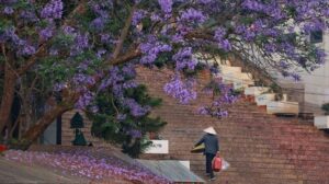 828913Cdfc9Db07C71584Becc8Eda57F Image1 202511051655110210