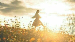 83Ab420B1Cb0C751707F84B3C59F49D8 3