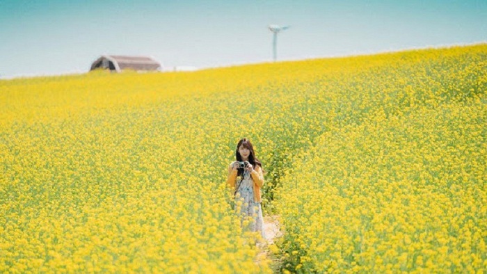 8da79369d4006e694479508937d61fd2 muahoacaihanquocvaomuanao