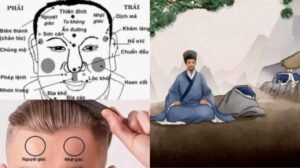 9 Vi Tri Nguoi Xua Goi La Xuong Rong Duoc Cho La Quy Tuong Sinh Ra Da May Man Tai Gioi Va Thanh Dat