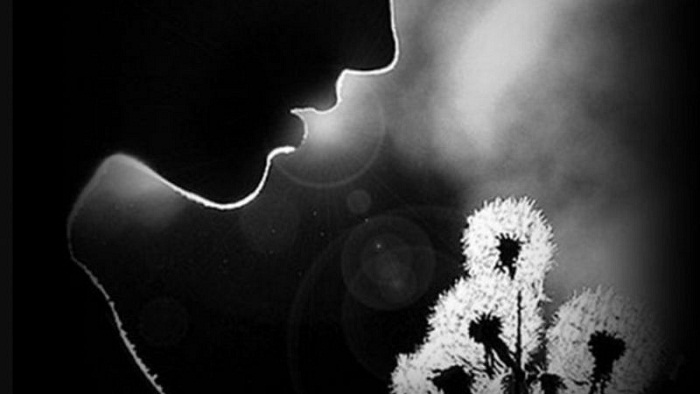 981575916e6250a2ea4ed9360373e39c hinh anh co don 32