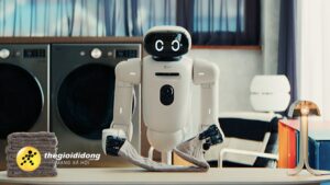 Alg6639032431937547755