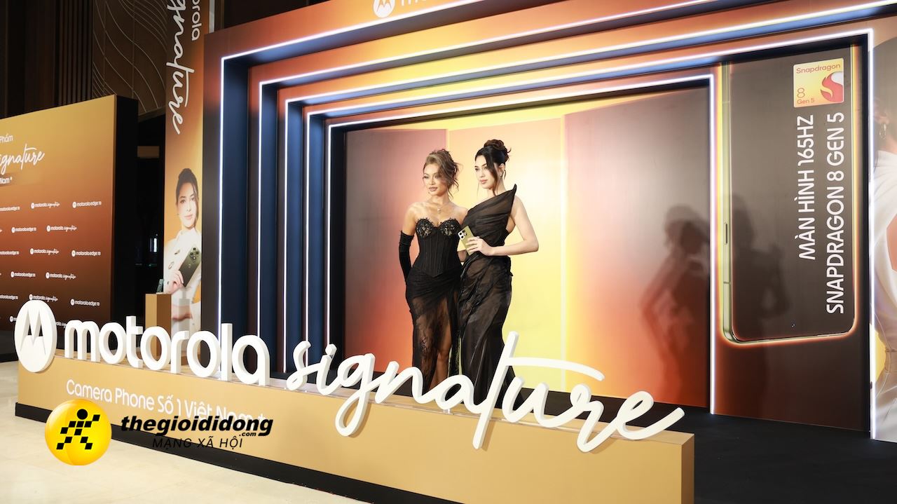 Amoto 2639087705771383758