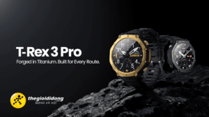 Amt74638972662267837017