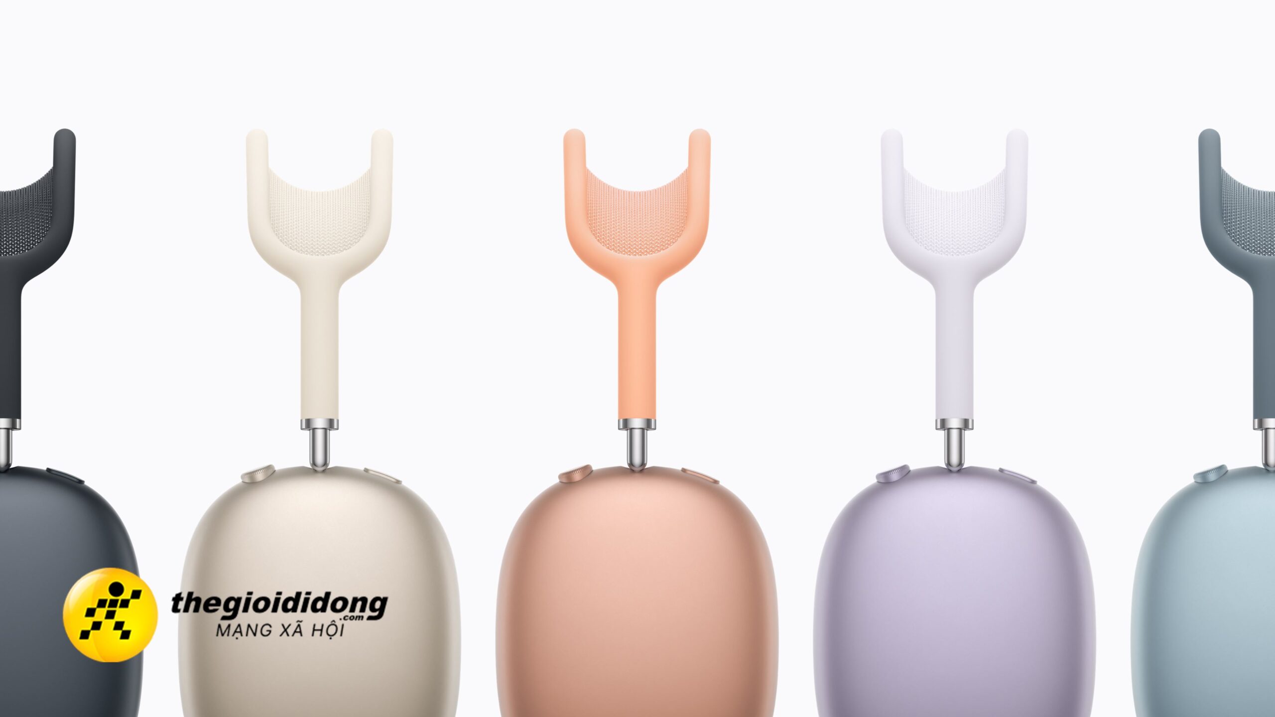 Apml1639092956494807916 Scaled