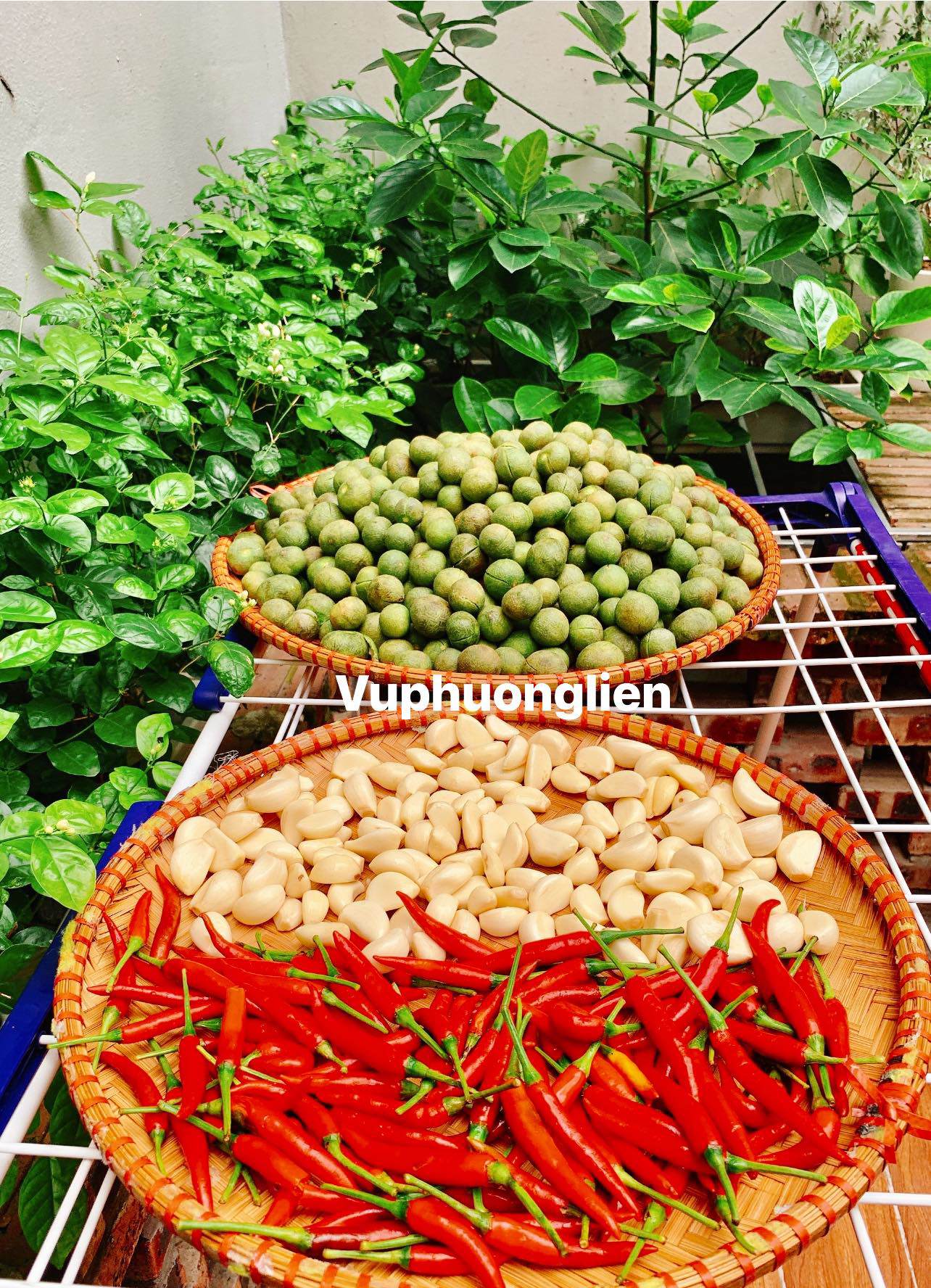 Bí quyết làm sấu ngâm mắm không bị nổi váng, để cả năm không lo hỏng Bi quyet lam sau ngam mam khong bi noi vang de ca nam khong lo bi hong 5 1747639647 921 width1284hei