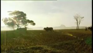 Hội Thích Nhạc Vàng C3Nfx1Edou3Grhvtk