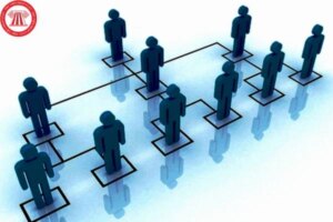 DN thue lai lao dong