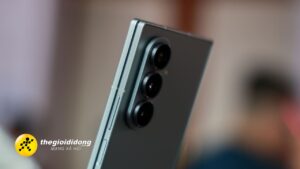 Fvb639019187320758776