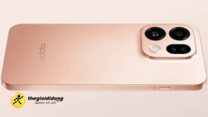 FX92639124524123538076