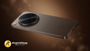 HMNJK1639098747083967089