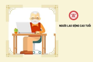 Mẫu hợp đồng lao động dành cho người lao động cao tuổi mới nhất 2026 có dạng ra sao? 2 Hinh 2198