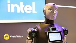 Ite79639033133367336045