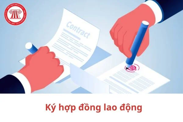 Ky hop dong lao dong