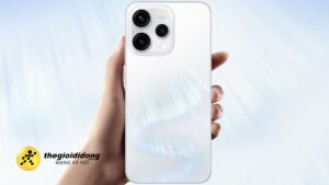 Ohn7639032209693885490