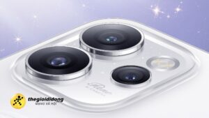 OTG79638984732118111365